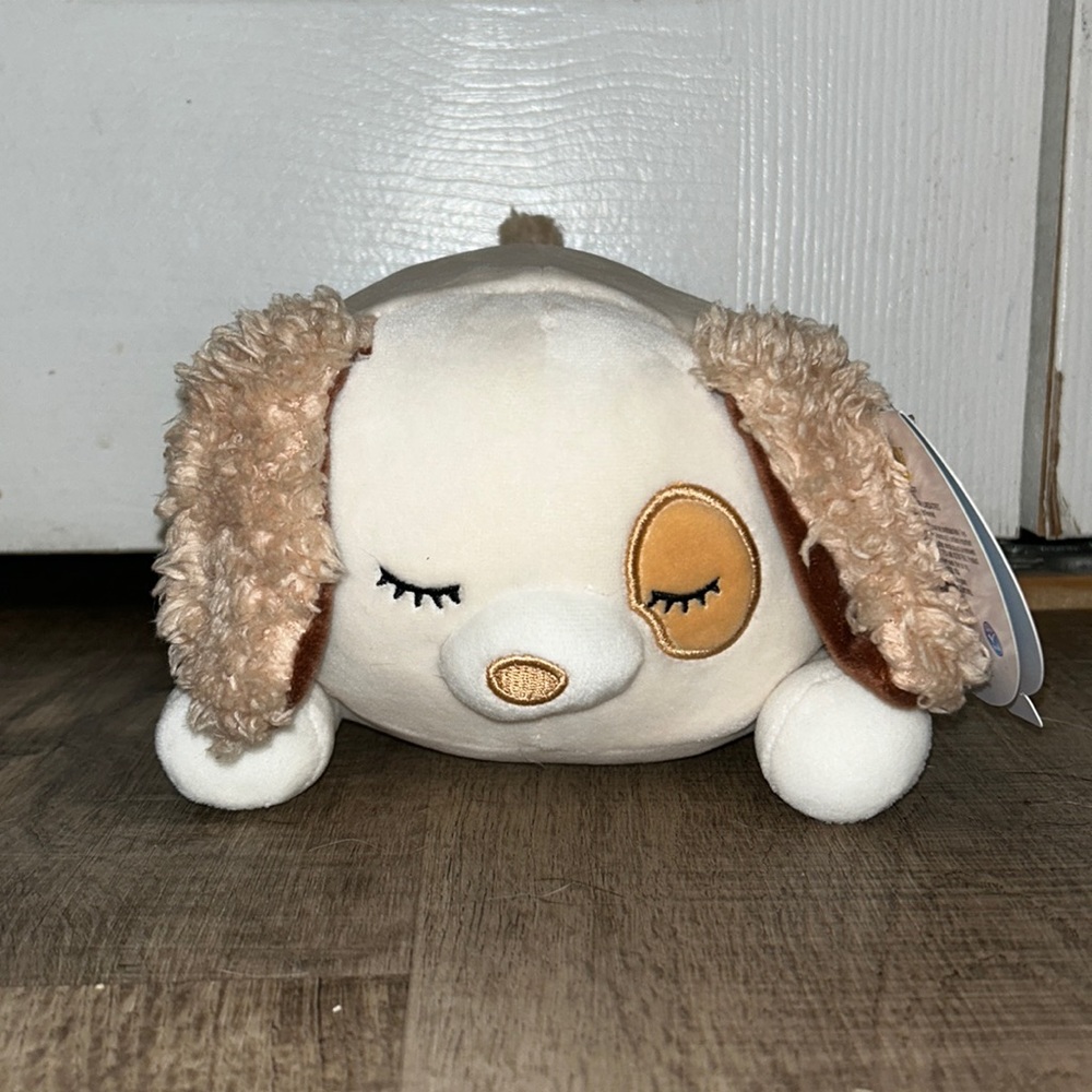 Harrison HugMee Squishmallow